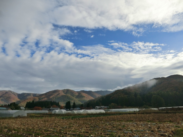 早稲沢からの景色は「実りの秋」から「冬に」向かいつつあります。_c0160368_1957421.jpg