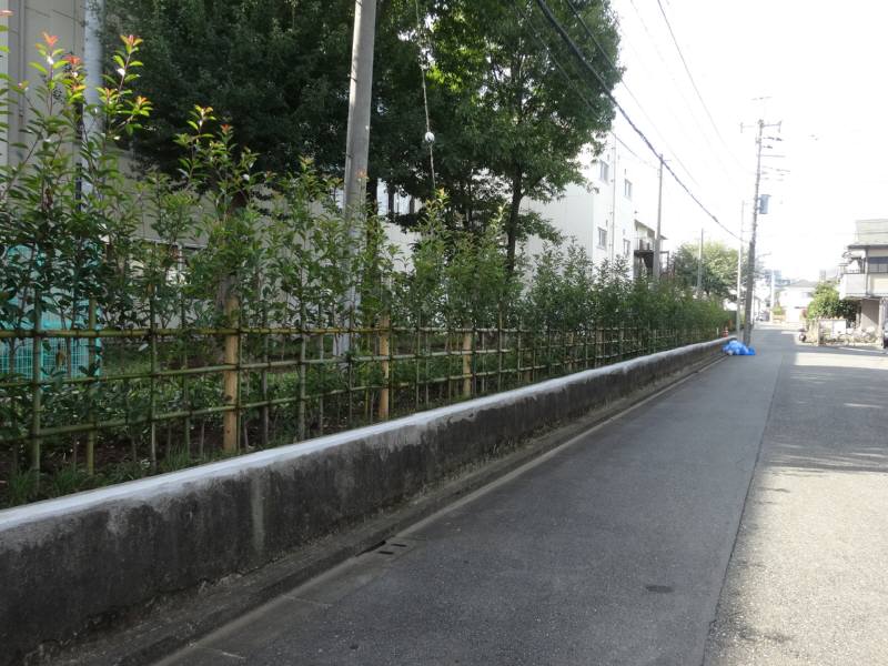 12小の新しい給食調理室と生垣_f0059673_1103341.jpg