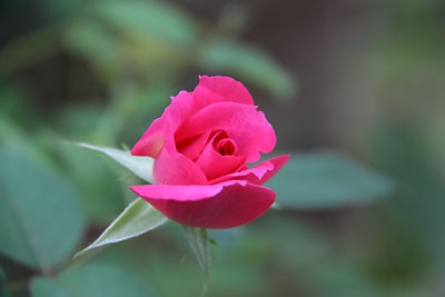c0152779_18511548.jpg