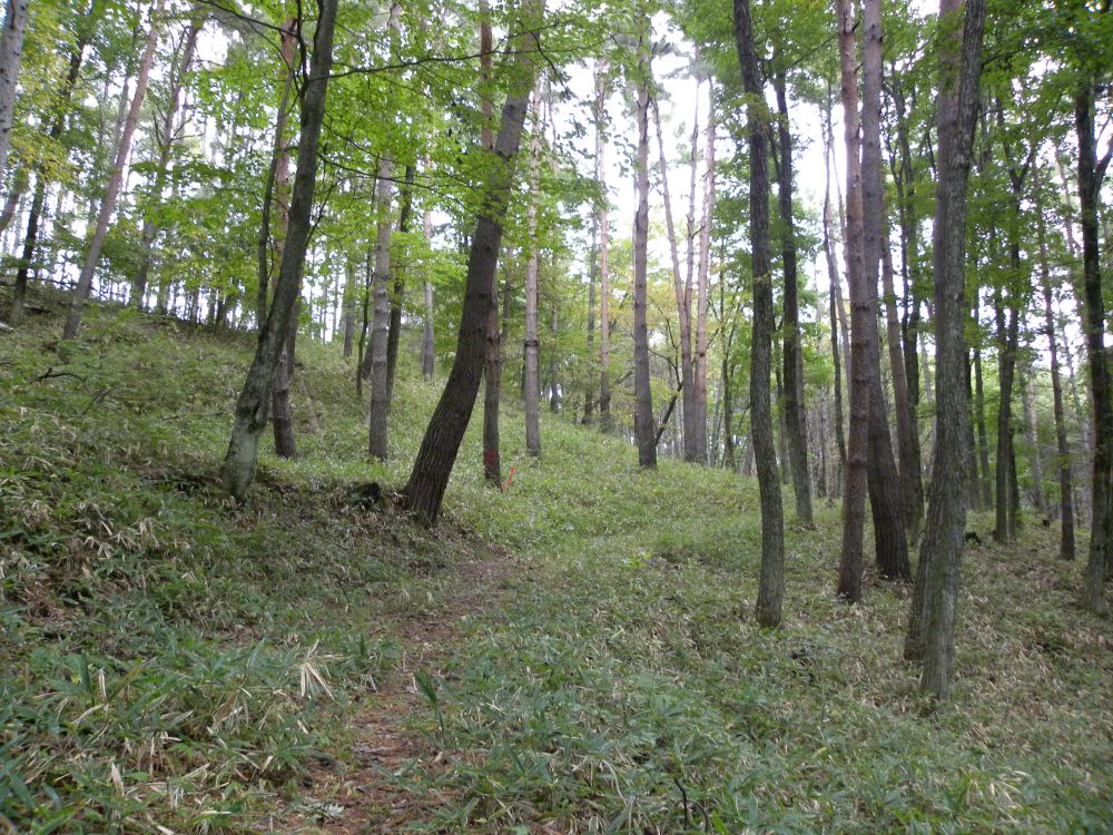 b0329588_09043559.jpg