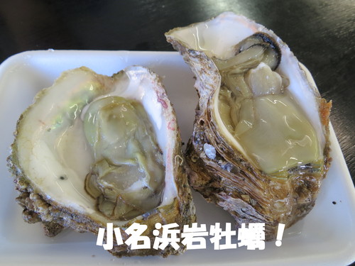 注文が止まらない・・・_b0200291_22375629.jpg