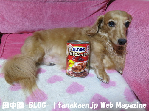 注文が止まらない・・・_b0200291_2247062.jpg