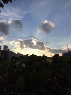 b0139996_20455317.jpg