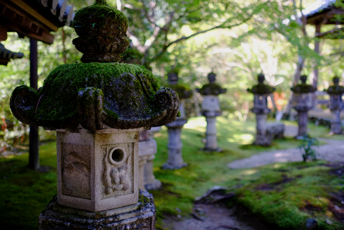 今年の京都は、階段だらけ　その１　高雄へ_e0079696_22125123.jpg