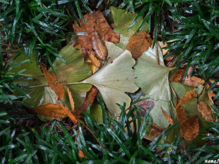 f0224100_23134270.jpg