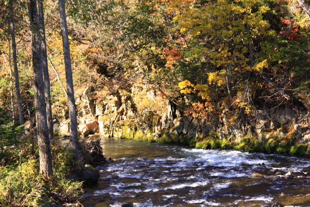 d0248502_7355443.jpg