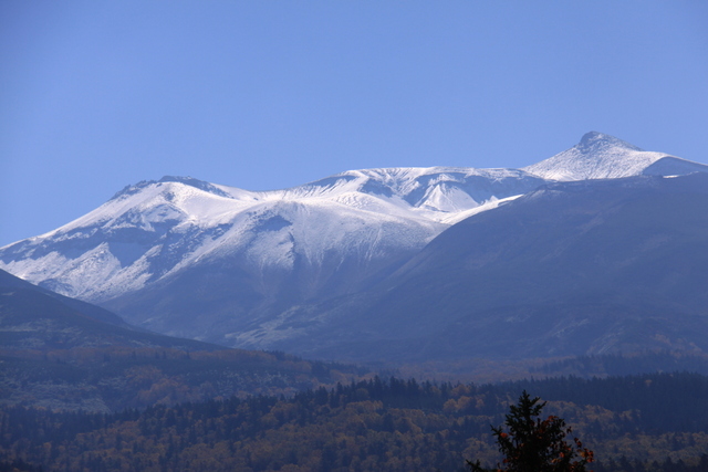 d0248502_7401969.jpg