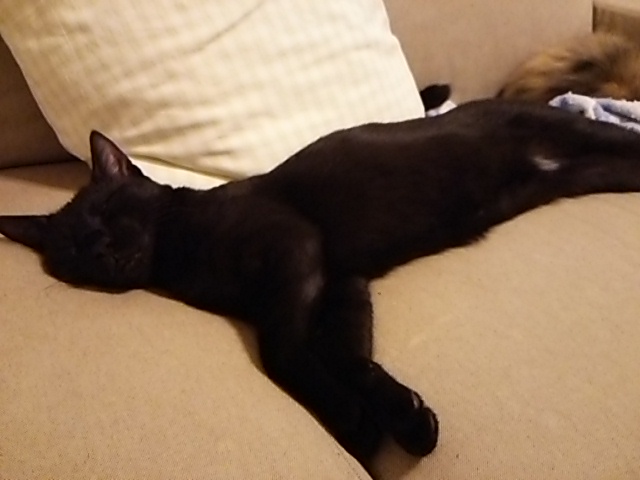 f0251711_1514391.jpg