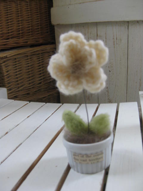 c0085916_12143136.jpg