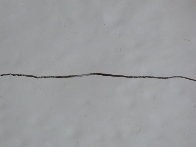 a0188023_6523165.jpg