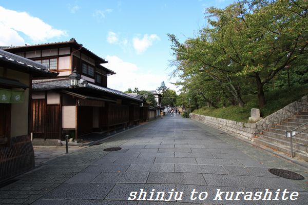 犬連れ関西旅行vol ３ A 観る その３ 真珠 と暮らして