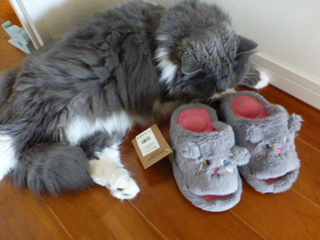 Neco Stretch Slipper_e0237625_17334978.jpg