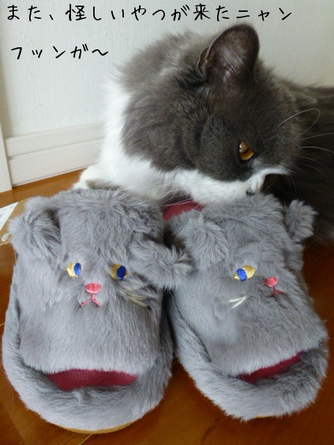 Neco Stretch Slipper_e0237625_1738423.jpg