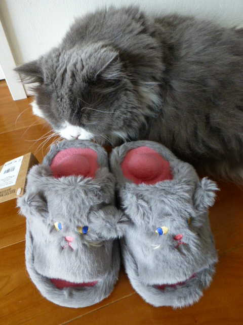 Neco Stretch Slipper_e0237625_17443416.jpg