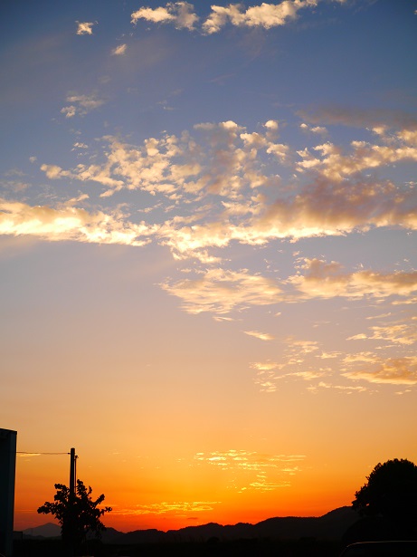 f0231829_20414513.jpg