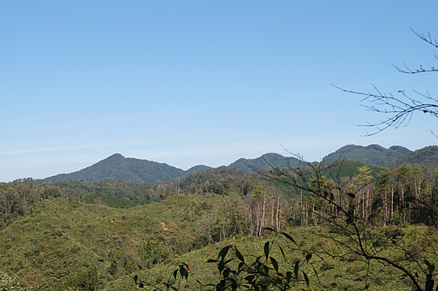 f0214649_19595977.jpg