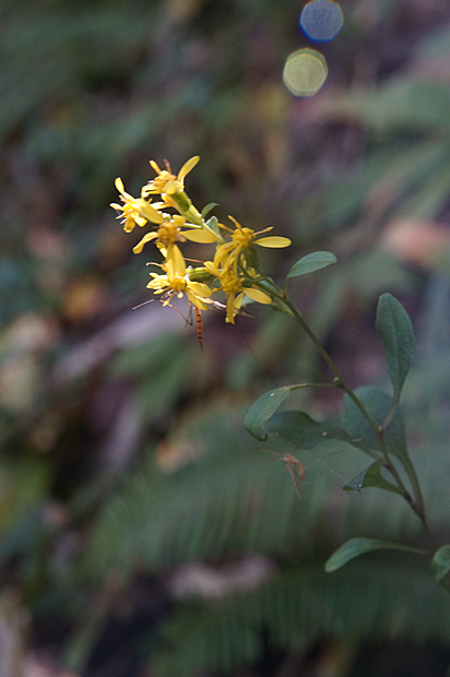 f0214649_20172074.jpg