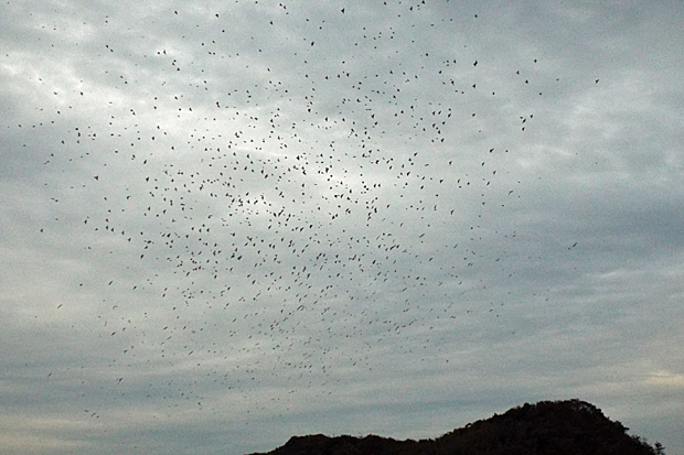 f0214649_20191537.jpg