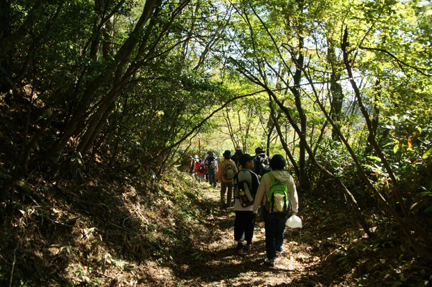 f0214649_6411759.jpg