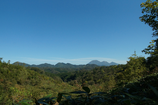 f0214649_6581428.jpg
