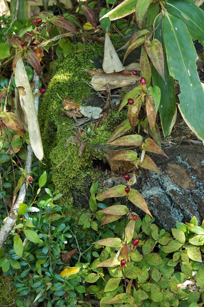 f0214649_771388.jpg