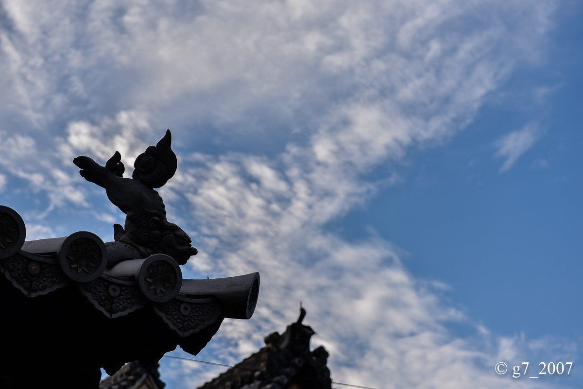 妙心寺..._f0152550_21313688.jpg