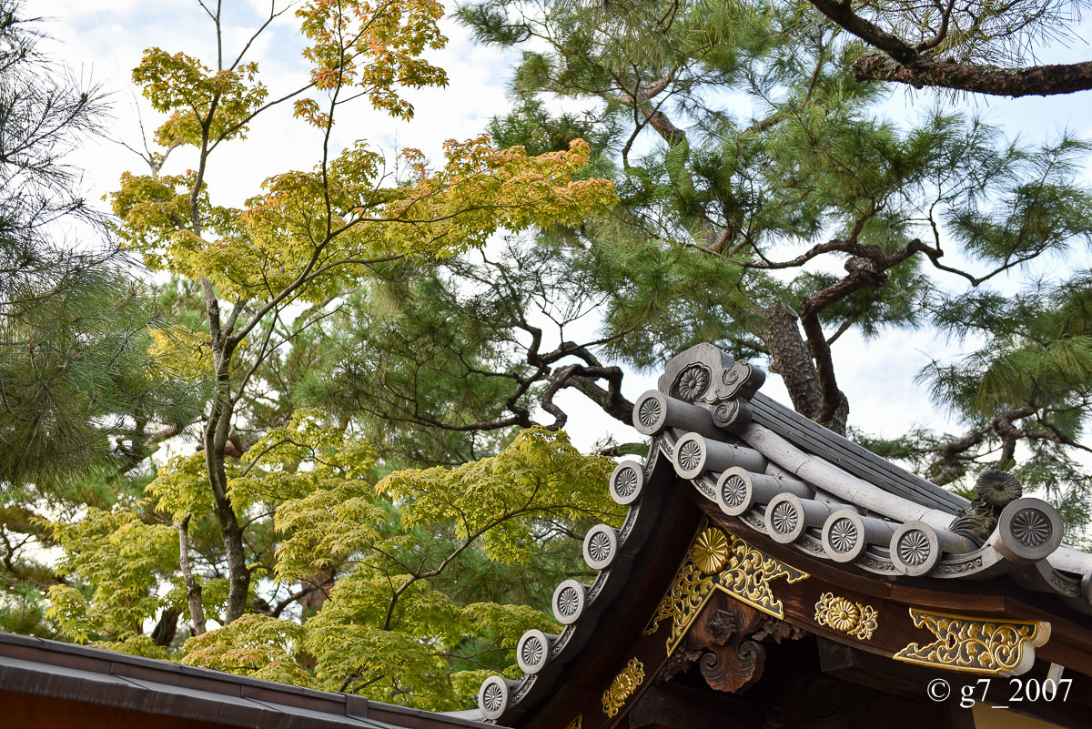 妙心寺..._f0152550_21321514.jpg