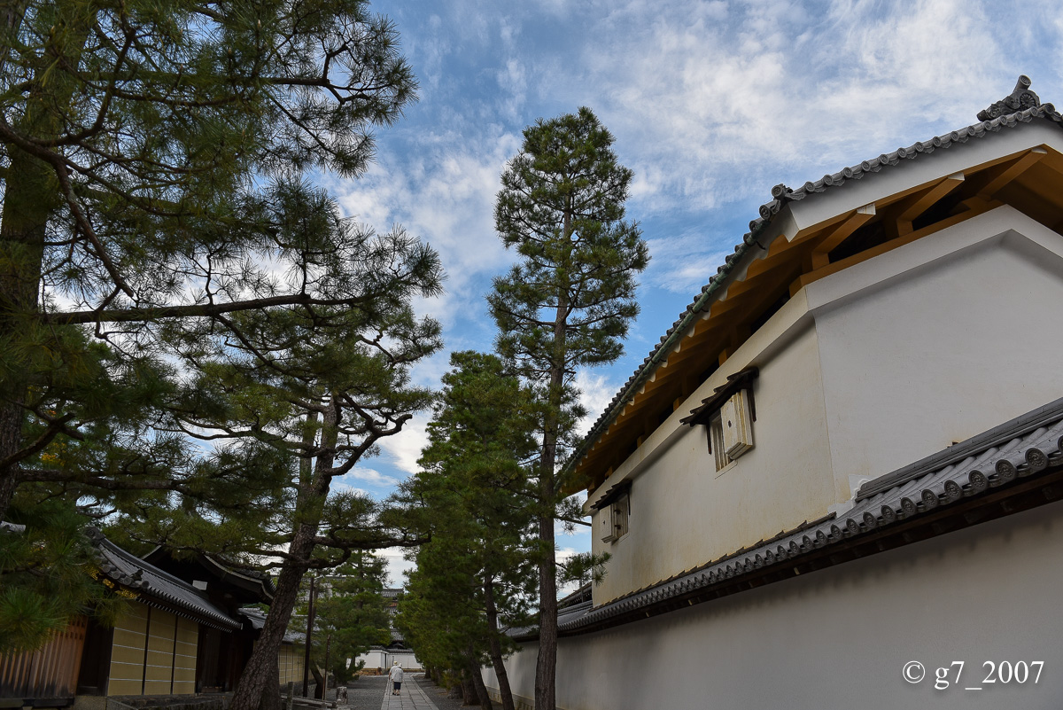 妙心寺..._f0152550_21324478.jpg