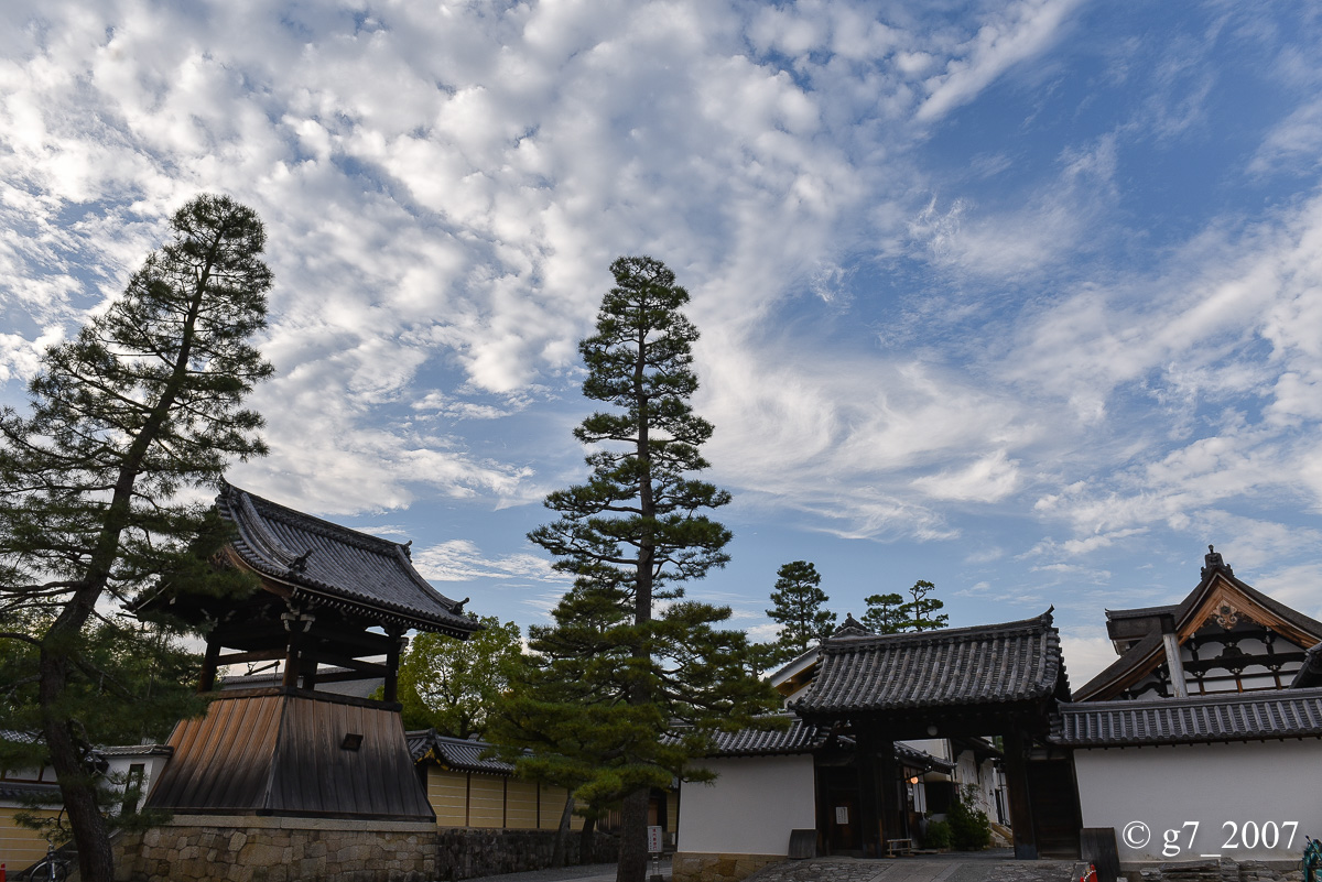 妙心寺..._f0152550_21332931.jpg