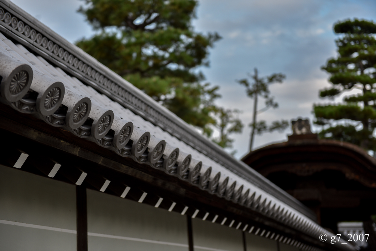 妙心寺..._f0152550_21354447.jpg