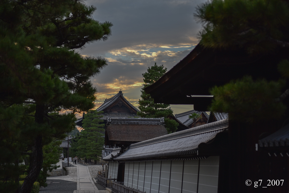 妙心寺..._f0152550_21355848.jpg