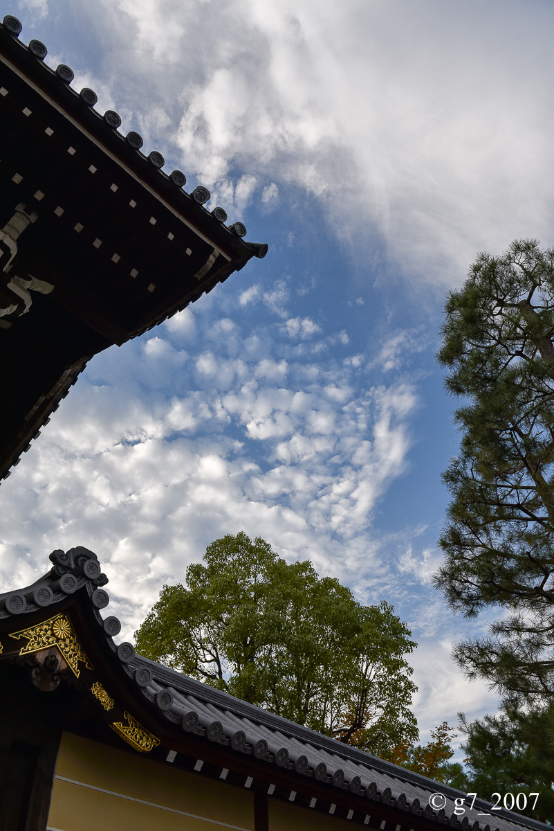 妙心寺..._f0152550_223909.jpg