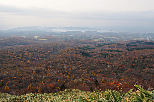 2014.10.21 鷲別岳(室蘭岳)_e0105954_1736297.jpg