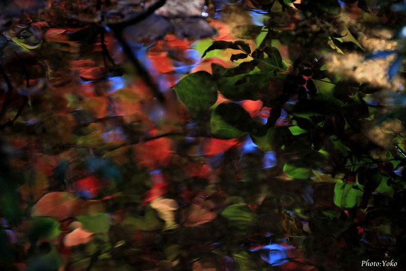f0147858_11292884.jpg