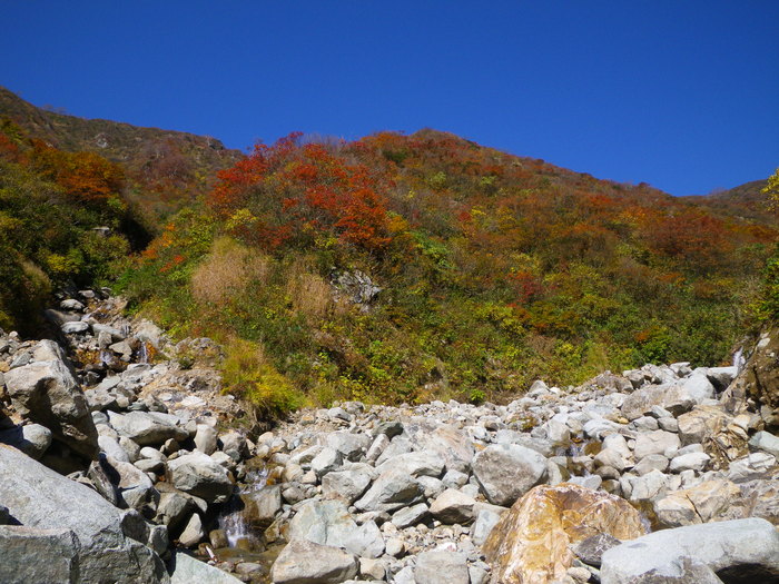 紅葉とスラブの飯豊連峰三国岳・タカツコ沢 ～ ２０１４年１０月１９日_f0170180_2059123.jpg