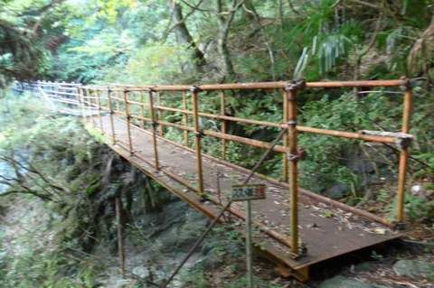 西日本最高峰、石鎚山登山 _f0350083_1422141.jpg