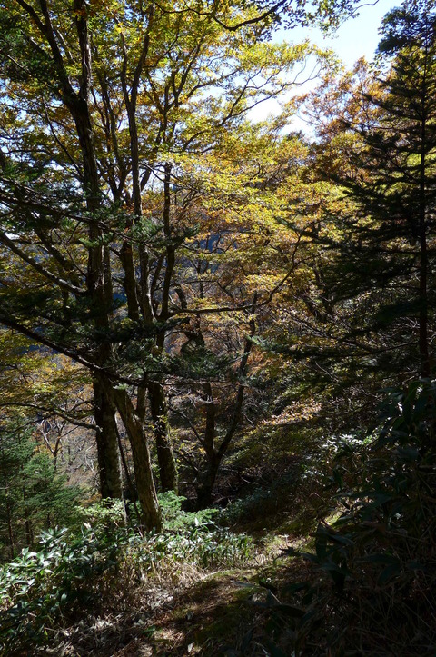 西日本最高峰、石鎚山登山 _f0350083_1533975.jpg