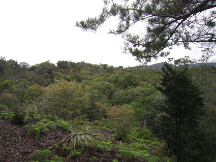 f0053885_2229262.jpg