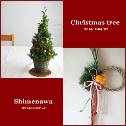 【満席御礼】2014年12月 スペシャルイベントレッスンのご案内_b0065587_2051383.jpg
