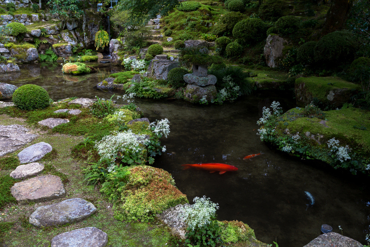 実光院_e0051888_438161.jpg