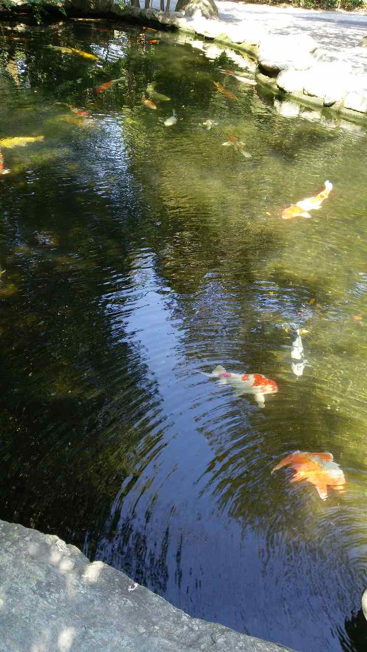 b0100489_8425925.jpg