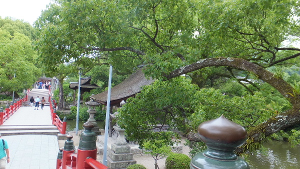 d0080998_22294020.jpg