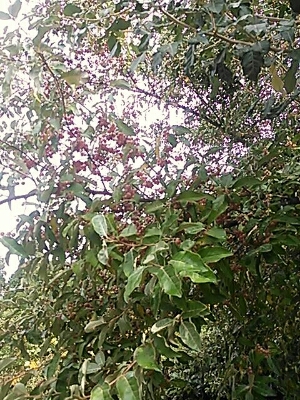 a0267099_01459.jpg