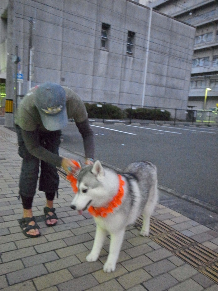 c0049299_22373869.jpg