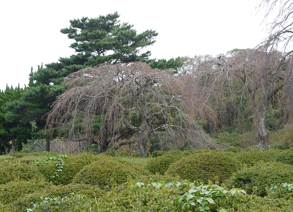 秋の伊豆高原へ　２_e0200101_22234543.jpg