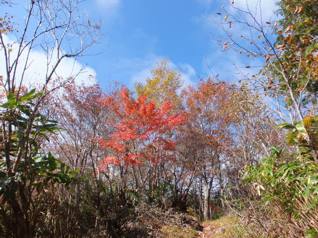 a0271502_17254735.jpg