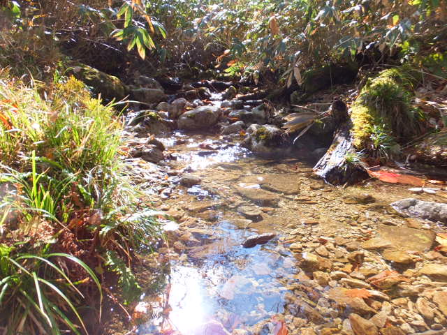 a0271502_17314052.jpg