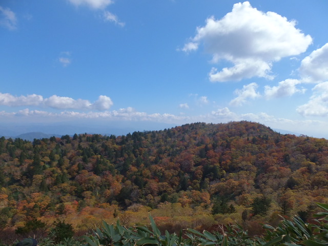 a0271502_174151.jpg