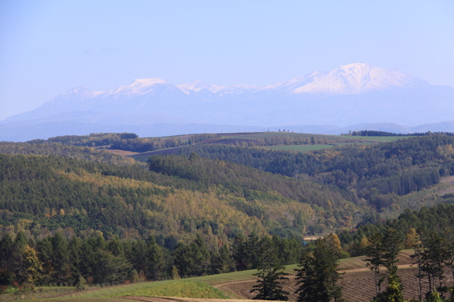 d0248502_8465092.jpg