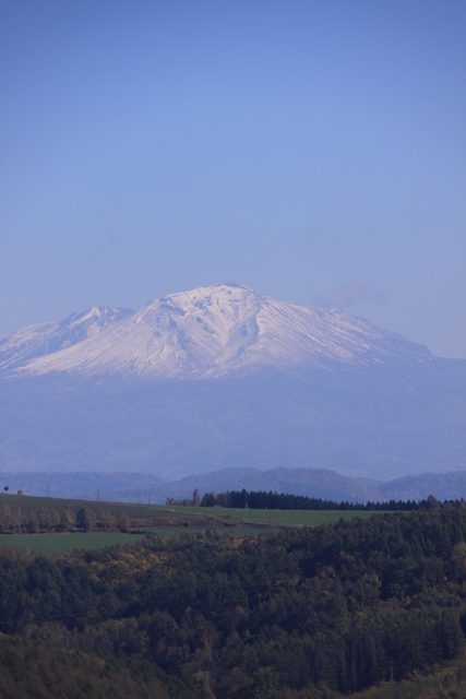 d0248502_8473841.jpg